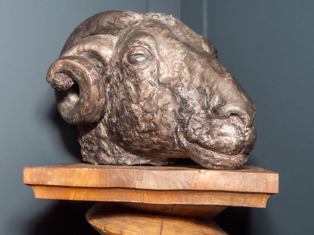 Rams Head Sculpture - Image 4