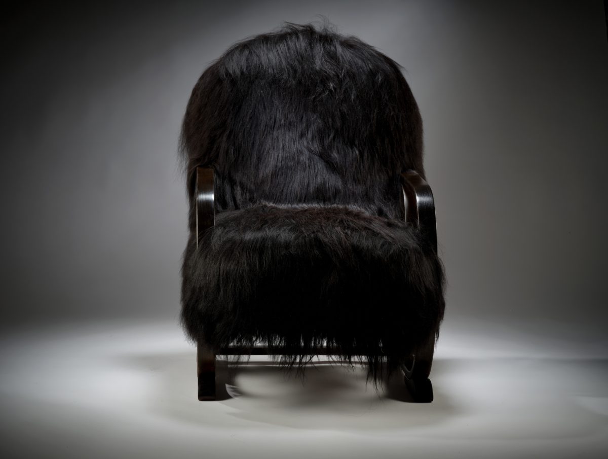 The Chewie - Image 5