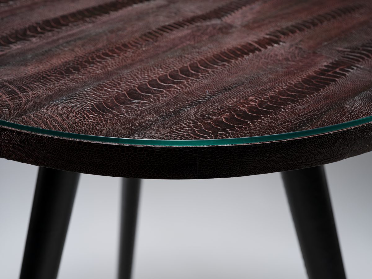 The Snake Skin Table - Image 4