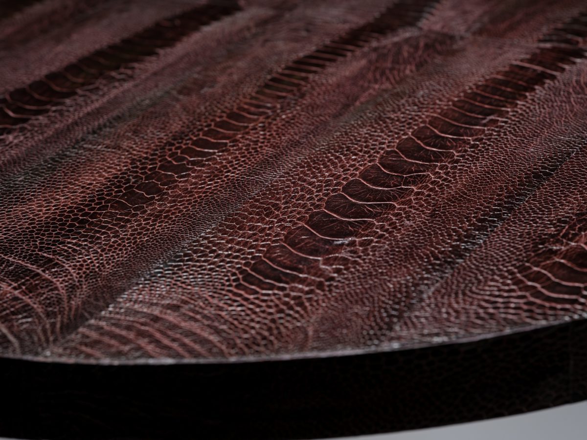 The Snake Skin Table - Image 3