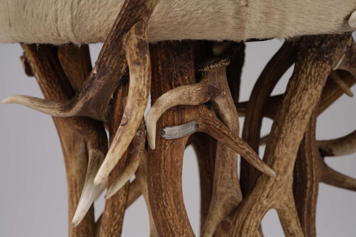 Deer Antler Chair - Image 3