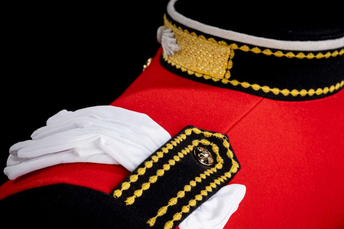 The British Army Officer - Image 3