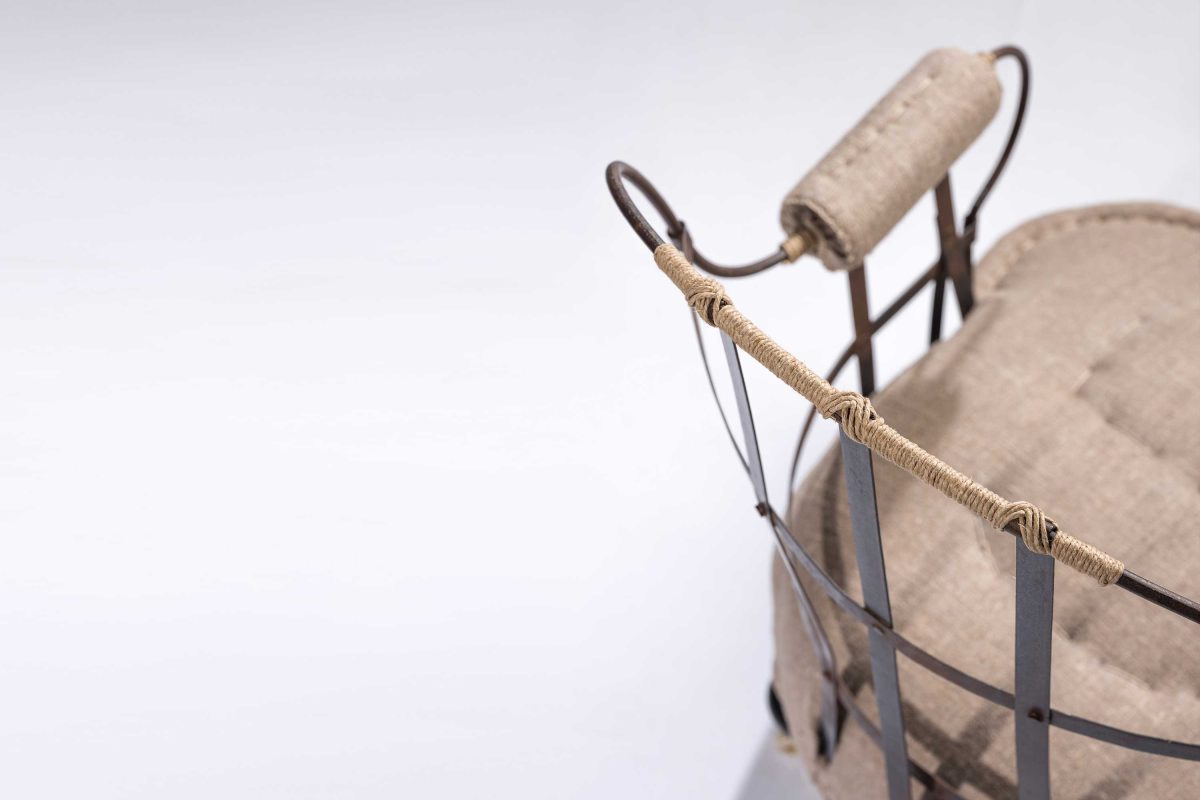 The Iron Back - Image 2